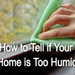 How to Tell if Your Home is Too Humid