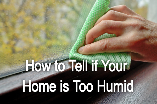Is Your Home Too Humid Find Out Now - 24zgaj0